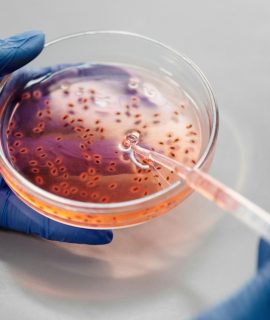 Bioquímica Industrial: como bioprocessos transformam resíduos em valor agregado